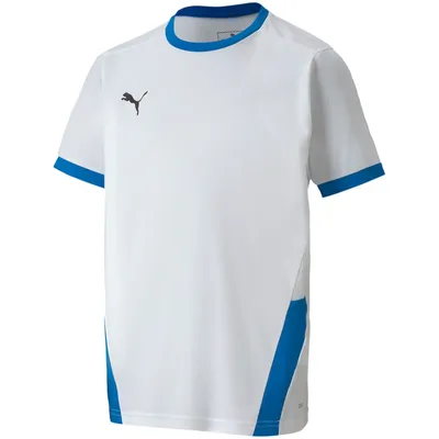 Immagine prodotto di Magliette Puma Teamgoal 23 Jersey 70416012