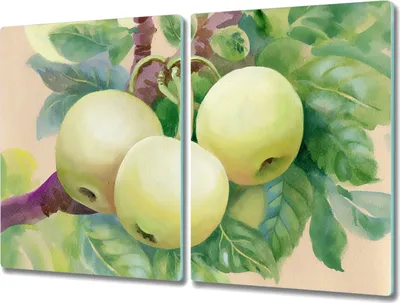 Produktbild von Coloray Herdabdeckplatte 2x40x52 cm Schneidebrett Kochplattenabdeckung Küchenbrett Hackbrett - Früchte Apfel