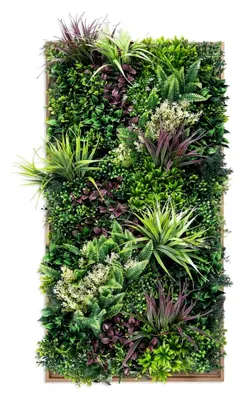 Produktbild von Künstliche Pflanzenwand für Innen- und Außenbereich, Blumenwand Urban Jungle, 50x100 cm mit Rahmen in Eicheoptik, pflegeleicht und langlebig - für eine angenehme Atmosphäre, Kunstpflanzen Wand, Green Wall