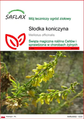 Zdjęcie produktu dla SAFLAX - Słodka koniczyna - 250 Nasiona - Melilotus officinalis