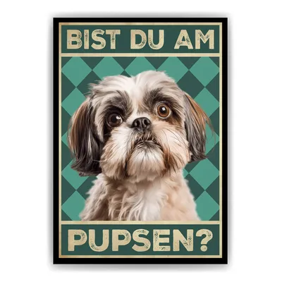 Produktbild von Shih Tzu - Bist du am Pupsen? Hunde Poster Badezimmer Gästebad Wandbild Klo Toilette Dekoration Lustiges Gäste-WC Bild DIN A4 – DIN A4 (21x29.7cm)