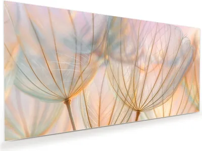 Produktbild von Glasbild 110x55cm in XXL für Wohnzimmer, Schlafzimmer Motiv Pusteblumen Kunst