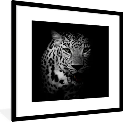 Produktbild von MuchoWow® Gerahmtes Poster Tiere - Schwarz - Weiß - Panther - Porträt 40x40 cm - Poster mit Schwarzem Bilderrahmen Wandposter Rahmen Foto Bilder - Poster - Plakat im Rahmen