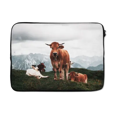 Produktbild von MuchoWow® Laptop Hülle 14 ZollTiere - Kuh - Berg Laptoptasche - Laptoptasche - Stoßsicher - Schutzhaube