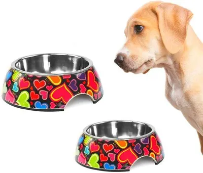 Immagine prodotto di Ciotola per cani e gatti in acciaio inossidabile e melamina, 22 cm, 700 ml