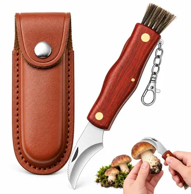 Klappbares Pilzmesser mit Bürste, Edelstahl, 12,3 cm