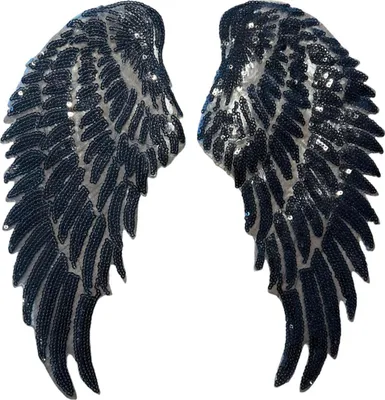 Produktbild von Flügel-Paillette-XL-Emblem-Patch-Set zum Aufbügeln, Schwarz