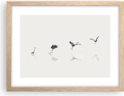 Produktbild von Gerahmtes Poster - Rahmen in heller Eiche - Flug Vogel Reiher - 40x30 cm - Wand Bild - Wanddeko - Wandbilder - Kunstposter - Wandposter - Bilderrahmen - Bilder - Kunstdruck - P2NAA40x30-5096