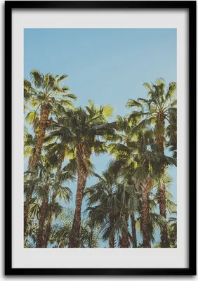 Produktbild von Bild - Bilderrahmen - 50 cm x 70 cm - MDF - Rahmen - Wandkunst Palmen