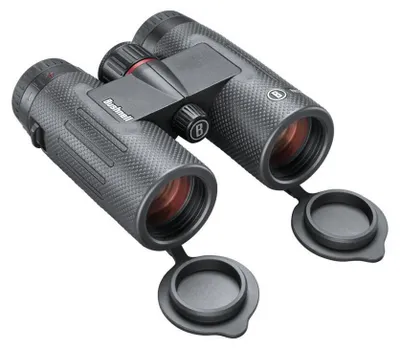 Produktbild von Bushnell Nitro 10x36 schwarz