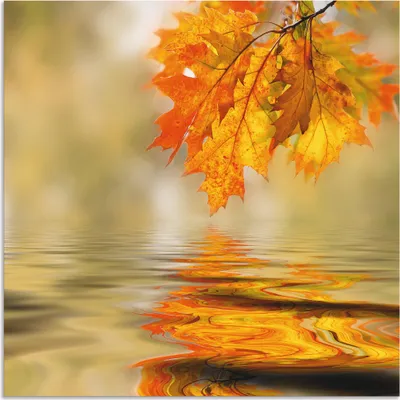 Produktbild von ARTland Wandbild Alu für Innen & Outdoor Herbstblatt Größe: 30x30 cm