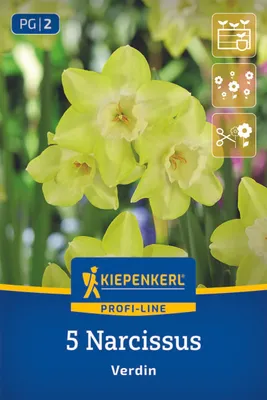 Produktbild von Kiepenkerl Profi-Line Narzisse Verdin Narcissus hybrids 5 Zwiebeln