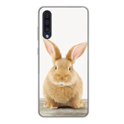 Produktbild von MuchoWow® Handyhülle Schutzhülle Hülle für Samsung Galaxy A50 Kaninchen - Babykaninchen - Tiere - Kinder - Mädchen - Jungen Silikon Softcase Handy Hülle - Mobiltelefonhülle