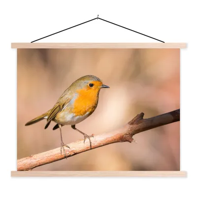 Produktbild von MuchoWow® Textilposter Vogel - Zweig - Rotkehlchen 40x30 cm mit holzfarbenen Rahmen - Bilder
