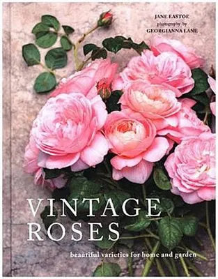 Produktbild von Vintage Roses
