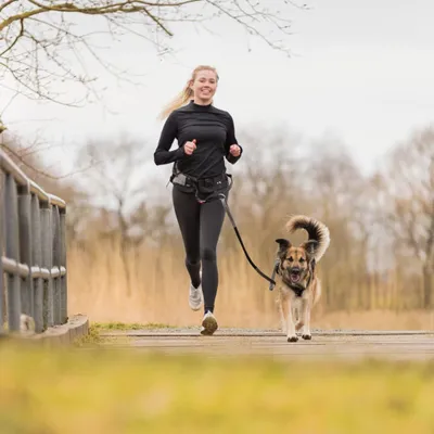 Produktbild von TRIXIE Hunde-Jogginggürtel mit Leine Grau und Schwarz