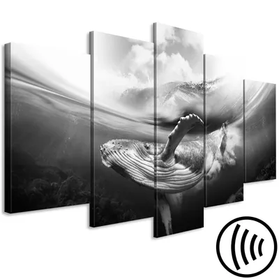 Produktbild von Akustikbild Tiere 200x100 cm Bilder Hochleistungsschallabsorber Schallschutz Vlies Leinwand Akustikdämmung 5 tlg Wandbild Raumakustik Schalldämmung Wal Unterwasserwelt g-A-0227-b-p