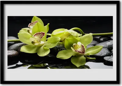 Produktbild von Bild 70x50 MDF-Rahmen Wandkunst Blume Orchidee Pflanze