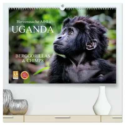 Produktbild von UGANDA - Berggorillas & Chimps (hochwertiger Premium Wandkalender 2027 DIN A2 quer), Kunstdruck in Hochglanz