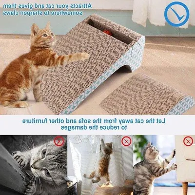 Produktbild von Famanu Kratzbrett 2-in-1 - Mit abnehmbarem Ball und Katzenminze - Multifunktional und bequem