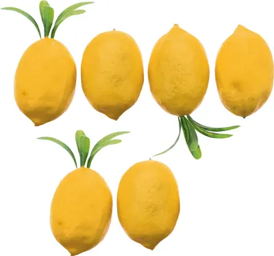 Produktbild von ohne Marke Deko Zitrone 6er-Pack zitrone OneSize