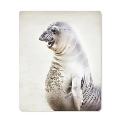 Produktbild von MuchoWow® Mauspad Mousepad Seeelefant - Lustig - Lachen - Kinder - Jungen - Mädchen - Kinder 30x40 cm - Mousepads - Maus Mat - Pad - Mausunterlage - Mausmatten