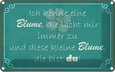 Produktbild von vianmo Blechschild 20x30 cm ich kenne eine Blume die bist du Spruch Zitat