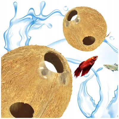 Produktbild von Aquariendekoration Kokosnuss-Versteck natürlich 11 cm