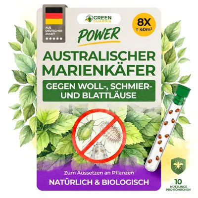 Produktbild von Australischer Marienkäfer gegen Schmierläuse und Wollläuse - 8 x 10 Nützlinge - Schmierläuse bekämpfen, Wollläuse bekämpfen, Mittel gegen Wollläuse