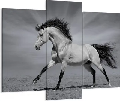 Produktbild von Bild auf Leinwand - Leinwandbild - Pferd Tier Natur - 130x100cm - Wand Bild - Wanddeko - Leinwanddruck - Bilder - Kunstdruck - Wanddekoration - Leinwand bilder - Wandkunst - CB130x100-3608