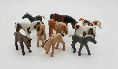 Produktbild von PLAYMOBIL 5 Fohlen / Baby-Pferde