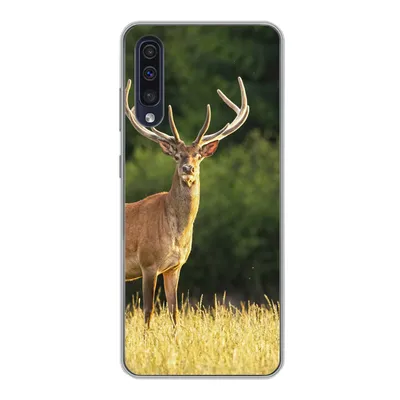 Produktbild von MuchoWow® Handyhülle Schutzhülle Hülle für Samsung Galaxy A30s Hirsch - Geweih - Gras - Natur - Tiere - Grün Silikon Softcase Handy Hülle - Karteninhaber