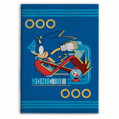 Produktbild von Sonic the Hedgehog-Polarteidecke