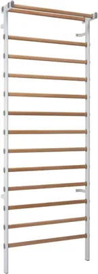 Produktbild von Sprossenwand Metall/Holz, H x B 240 x 90 cm, 14 Sprossen
