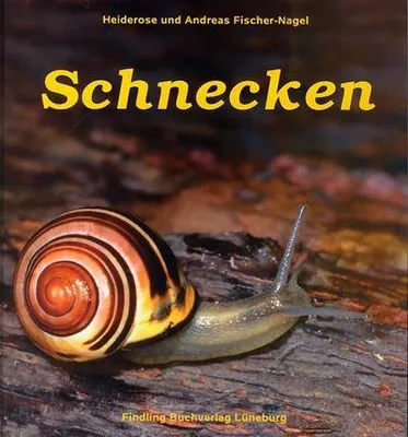 Immagine prodotto di Schnecken