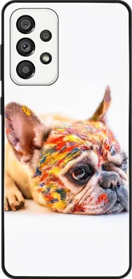 Produktbild von König Design Hülle kompatibel mit Samsung Galaxy A73 5G Kunststoff Soft Handyhülle - Handy Case Bulldogge Bunt