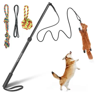 Flirtstange für Hunde, interaktives Spielzeug, Agility-Training, mit Quietscher