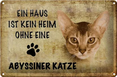 Produktbild von Blechschild Spruch 30x20cm Abyssiner Katze ohne kein Heim