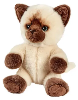 Image de Anima Peluche Chat Siamois Tetabizous - 17 cmH