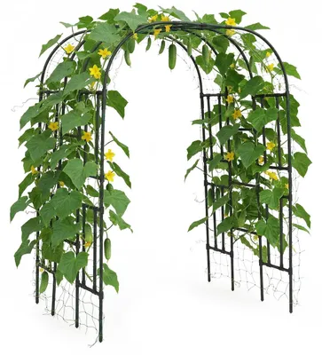 Immagine prodotto di Arco da giardino – Struttura metallica a forma di cupola per piante rampicanti – Ideale per rose e altre piante rampicanti – Decorazione da esterno per matrimoni, feste e terrazze
