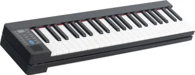 Obrázek produktu pro Digitální klávesy KP-88II, skládací, 88 kláves, černý
