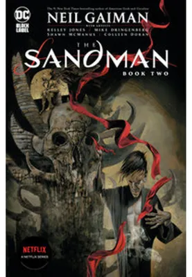 Immagine prodotto di The Sandman Book Two