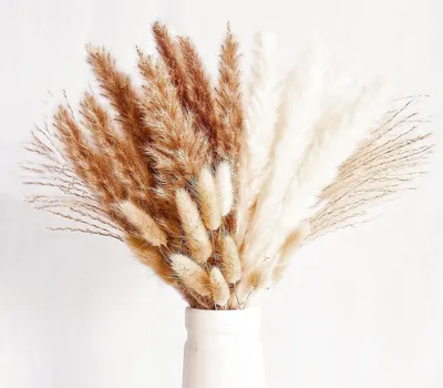 Immagine prodotto di set di 70 decorazioni in erba di pampa essiccata naturale in beige e marrone
