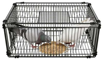 Productafbeelding van Vouwbare Pigeon Kooi met Toegang en Dakluik