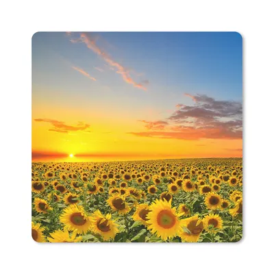 Produktbild von MuchoWow® Mauspad Mousepad Blumen - Sonnenblume - Sonnenuntergang - Nacht - Orange 30x30 cm - Mousepads - Maus Mat - Pad - Mausunterlage - Gaming
