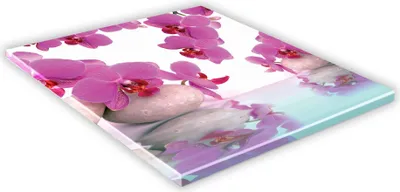 Zdjęcie produktu dla SZKLANA DESKA KUCHENNA 25x25 429e Orchidea