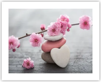 Produktbild von Poster - Poster ohne Rahmen - Yoga weiblich Blume Gesundheit - 50x40 cm - Wand Bild - Wanddeko - Wandbilder - Kunstposter - Wandposter - Bilder - Kunstdruck - Wandbild - P2XAA50x40-3178