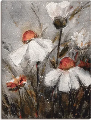 Produktbild von ARTland Leinwandbild Margeriten I Größe: 45x60 cm