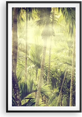 Produktbild von Gerahmtes Poster - Schwarzer Rahmen - Morgendämmerung Dschungel Palmen - 61x91,5 cm - Wand Bild - Wanddeko - Wandbilder - Kunstposter - Wandposter - Bilderrahmen - Bilder - Kunstdruck P2BPA61x91-4450