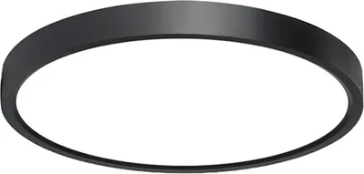 Produktbild von 24W WIFI Smart Deckenleuchte Bluetooth RGB 1920lm Schlafzimmerlampe Kompatibel mit Tuya Alexa Google - Schwarz